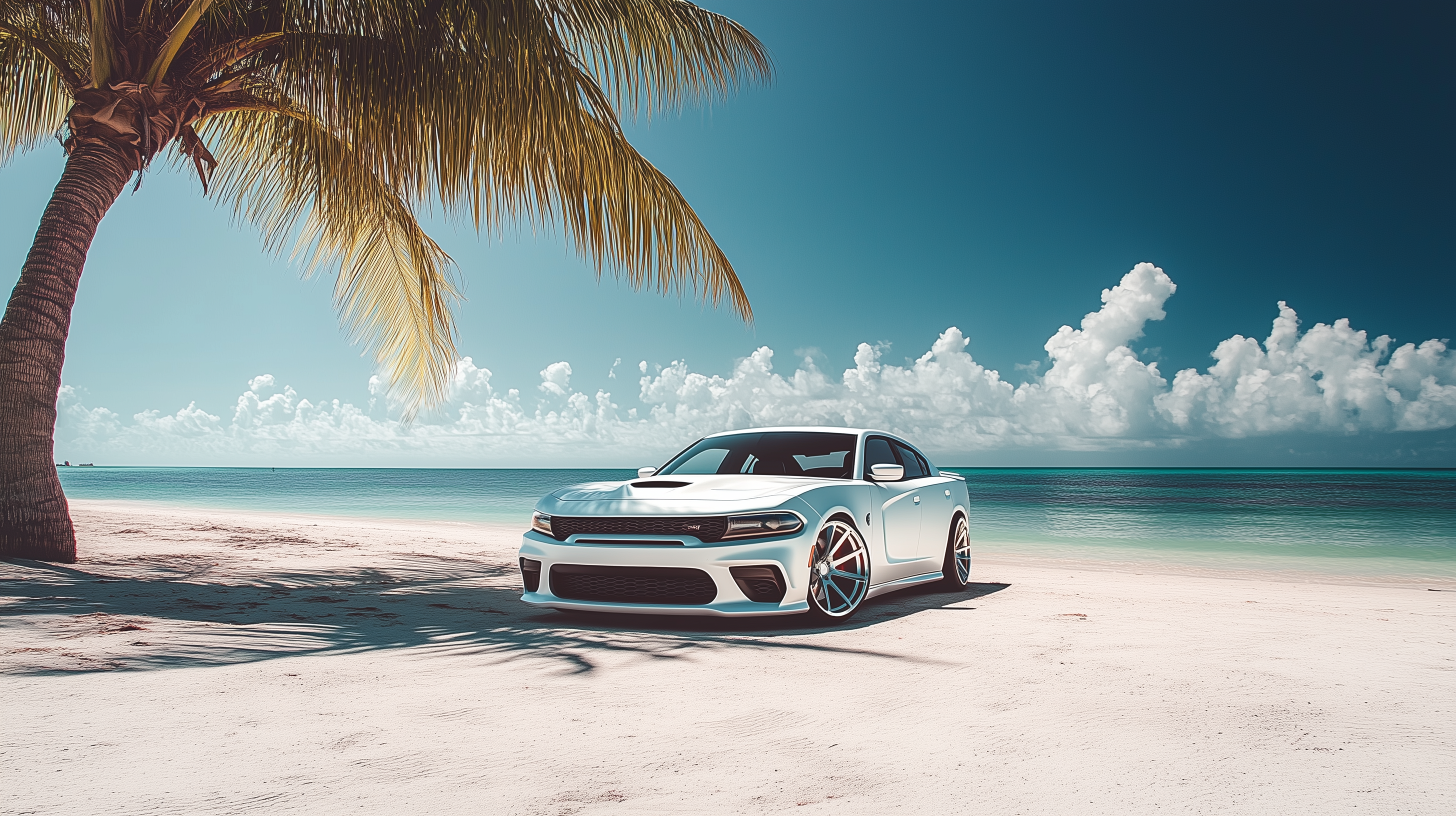 A sleek white used Dodge Charger stays cooler under a palm tree on a sunny Florida beach.