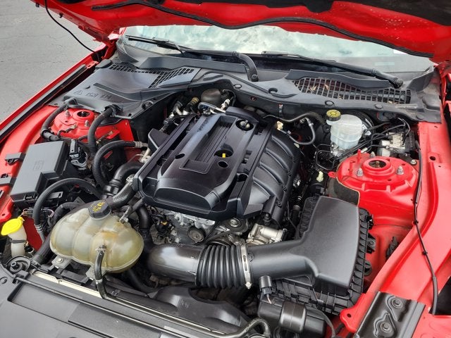 2019 Ford Mustang EcoBoost