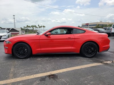 2019 Ford Mustang EcoBoost